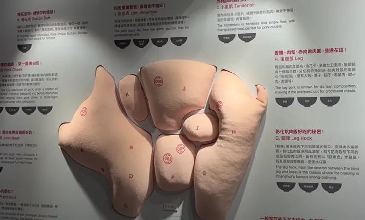 肉品部位模型導覽