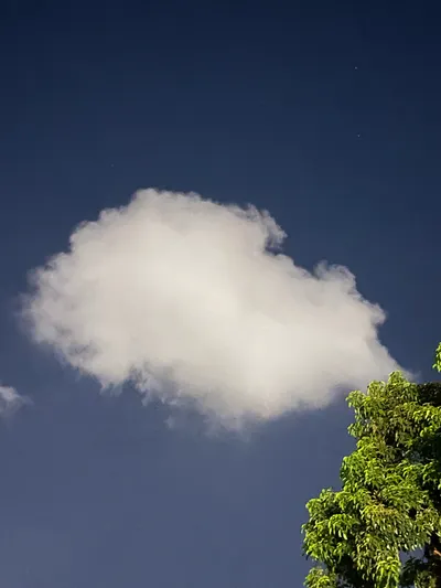 Freddy 的家長週記：Week 005，被孩子氣到的一週