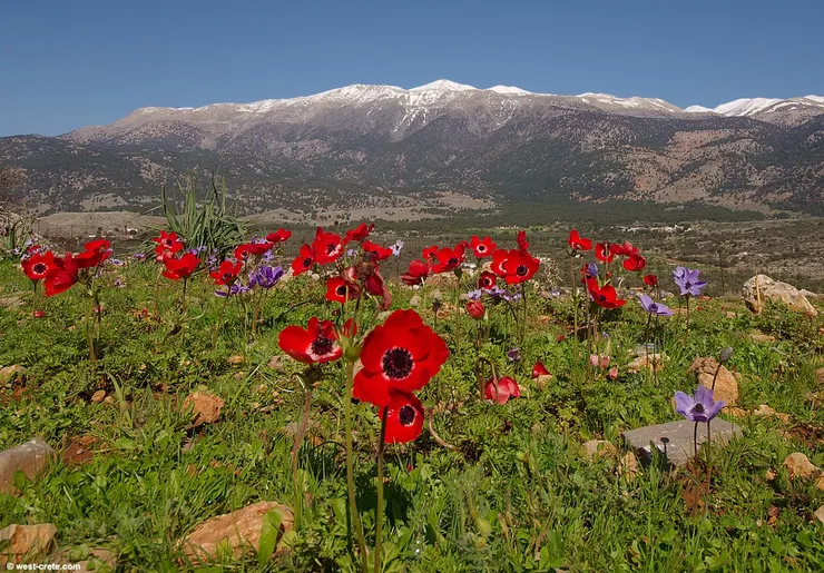 圖片取自網路。
