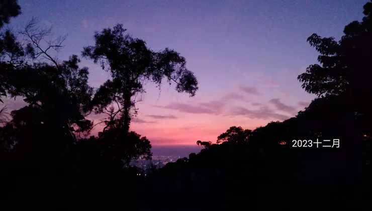 半路上從步道樹梢看見美麗的暮光天空