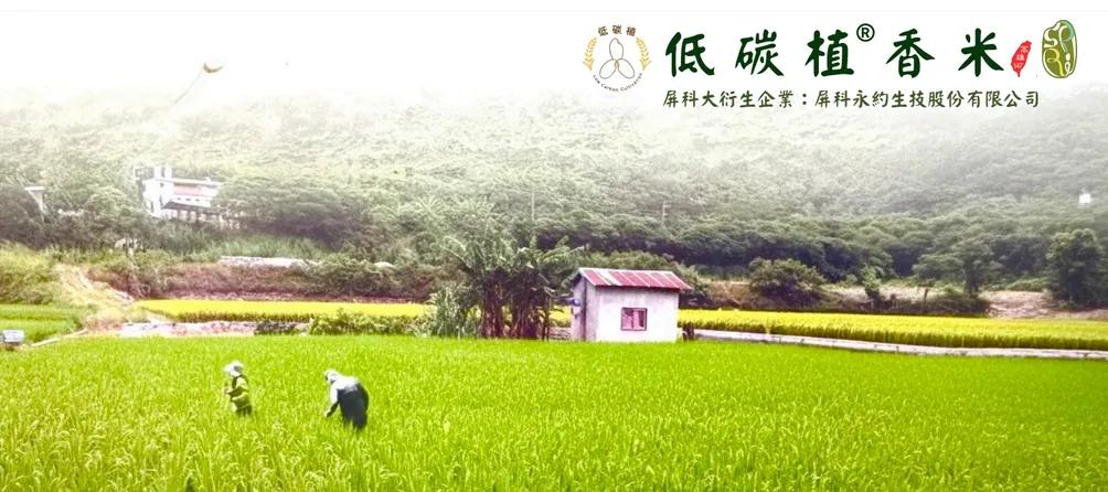 甚為美好健康園地