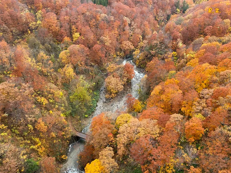 城倉大橋上俯視 ([陳傳義]拍攝)