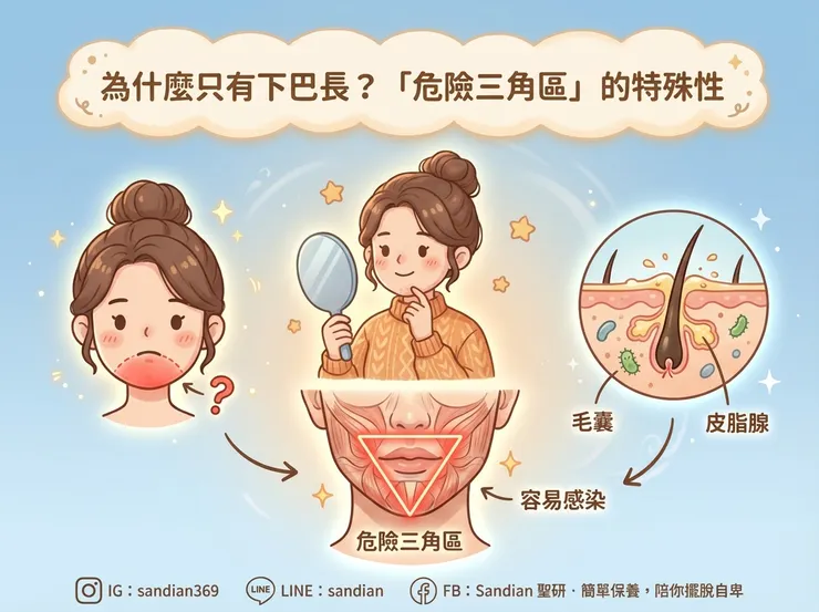 為什麼只有下巴長？「危險三角區」的特殊性