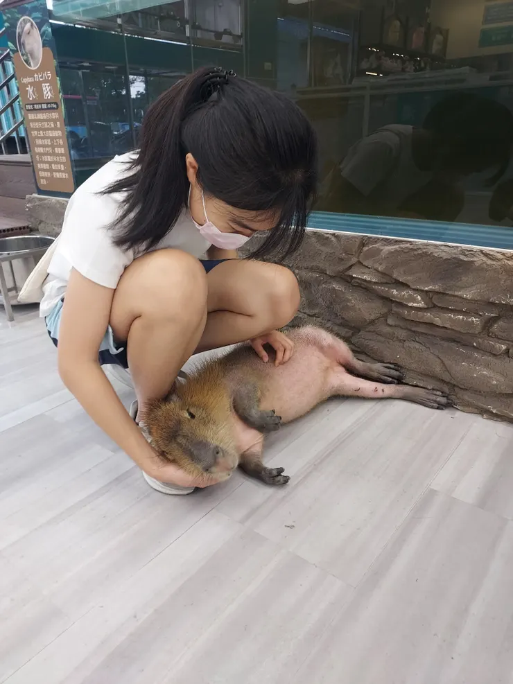 這位奴才的力道不錯👍