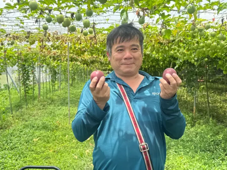 ▲栽種藍星百香果的美濃農友吳成璽。(圖/記者鍾怡婷攝)