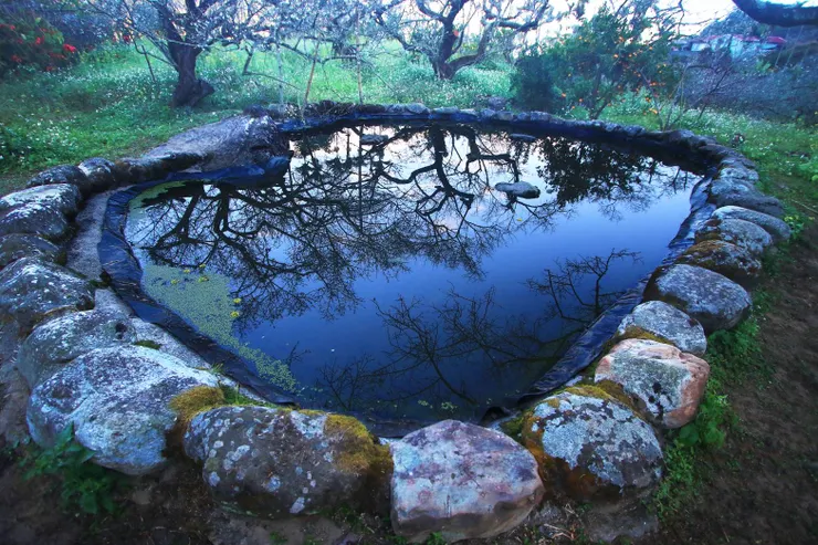 去年池邊無人顧，倒影成三人/Mingling攝