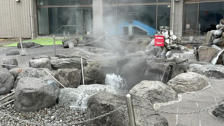 雖然可惜，但也是大自然一部分。  