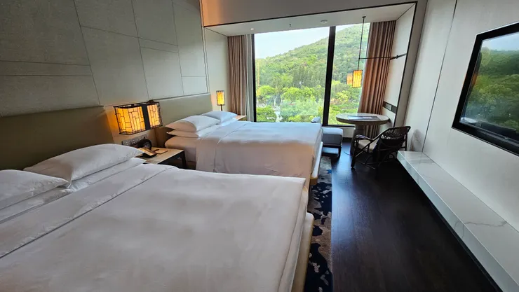 窗外是綠油油一片的士林官邸美景!我也住在好山好水好風景的官邸旁邊呀!