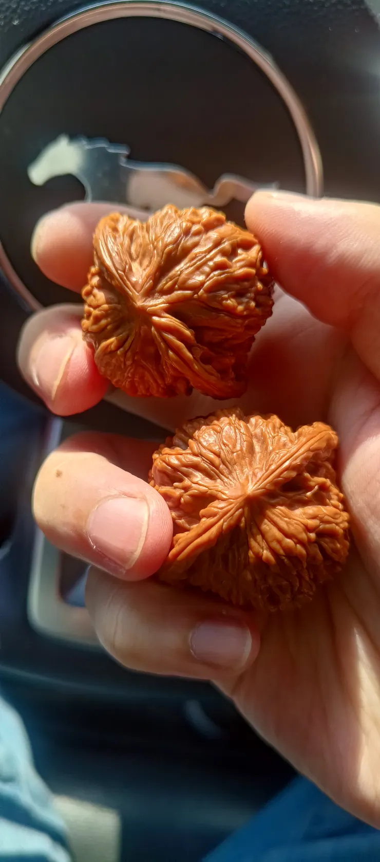 筆者自己的收藏之一