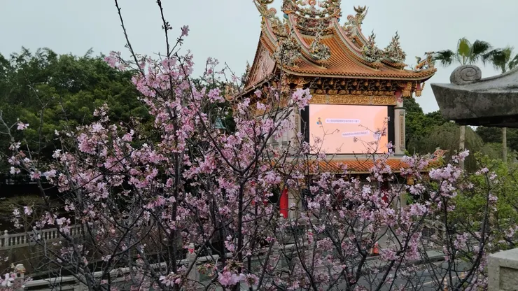 三月底前把握機會