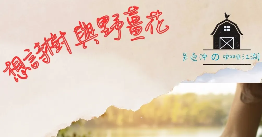 另壺沖の咖啡客棧的沙龍