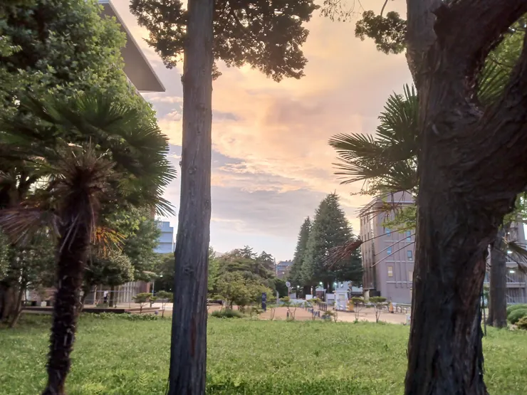 夏天的六七點，天空仍然很亮，這是校園的日常風景