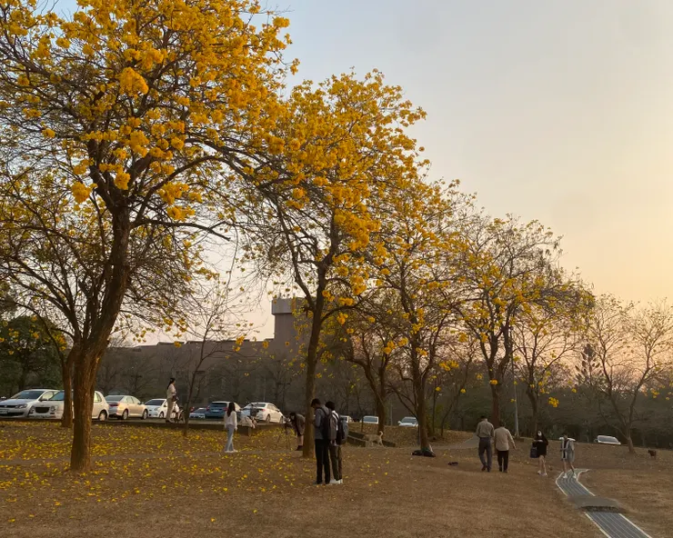 (照片來源:應成安)