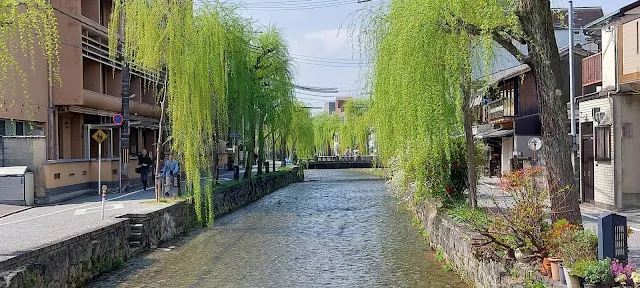 悠閒的白川筋
