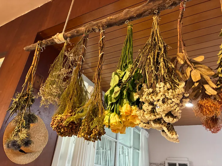 吊掛的花草也是一幅美麗的風景！