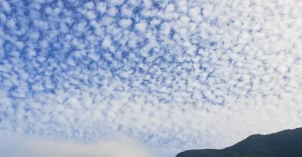 春田花花•花子