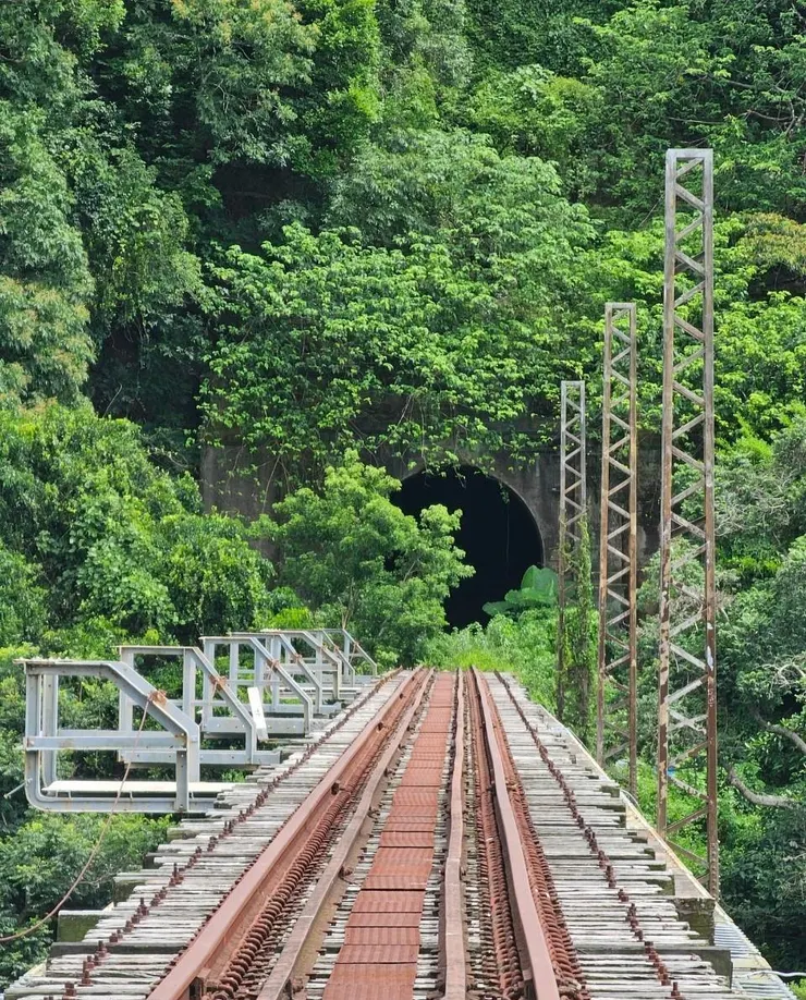 遙望終點彼端已封閉的隧道口。