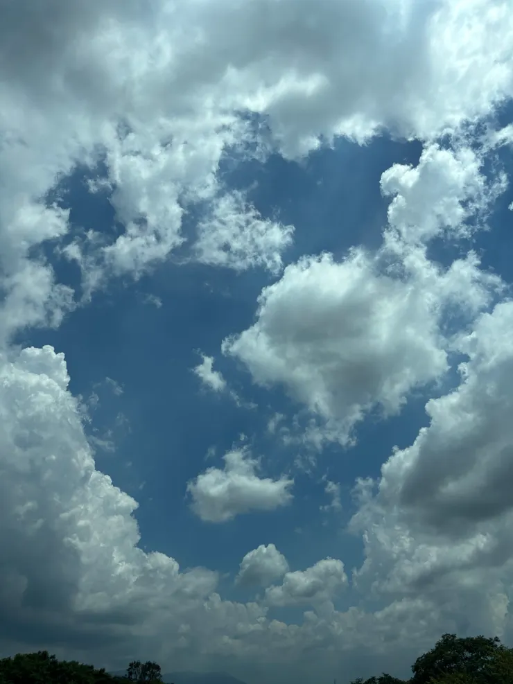 醫生的成功，病人的命。 空白之後，是誰的責任？