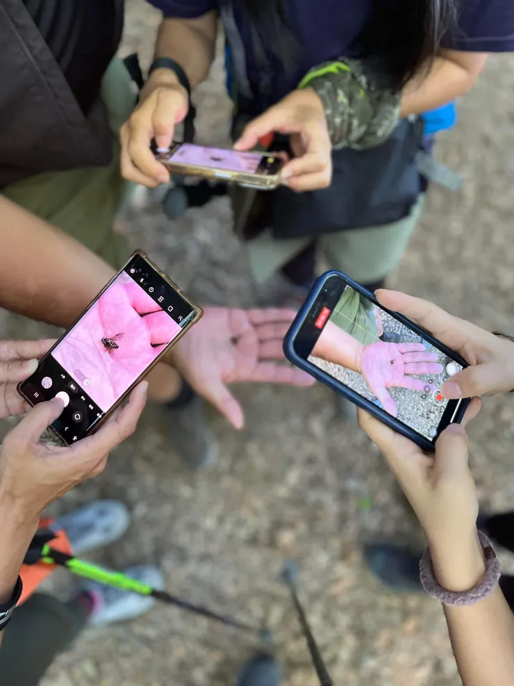 己往生的牛虻麻豆