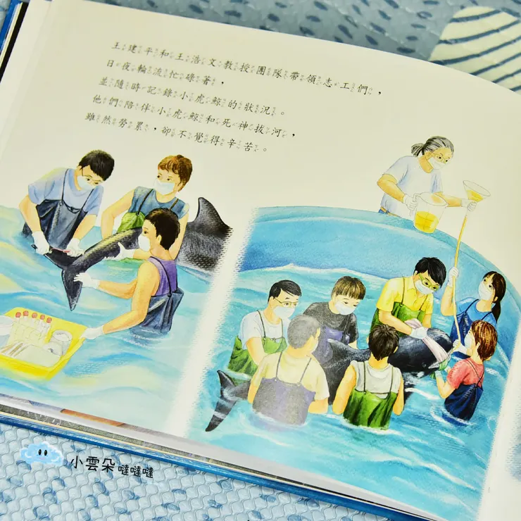 幫忙虛弱的鯨豚補充營養