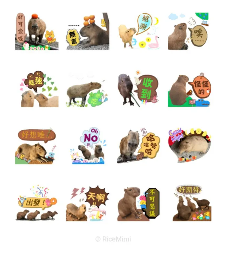 水豚們的日常，也是我們的日常