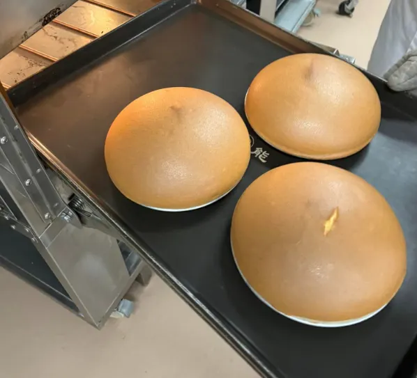 圓圓胖胖的波士頓派，很可愛!