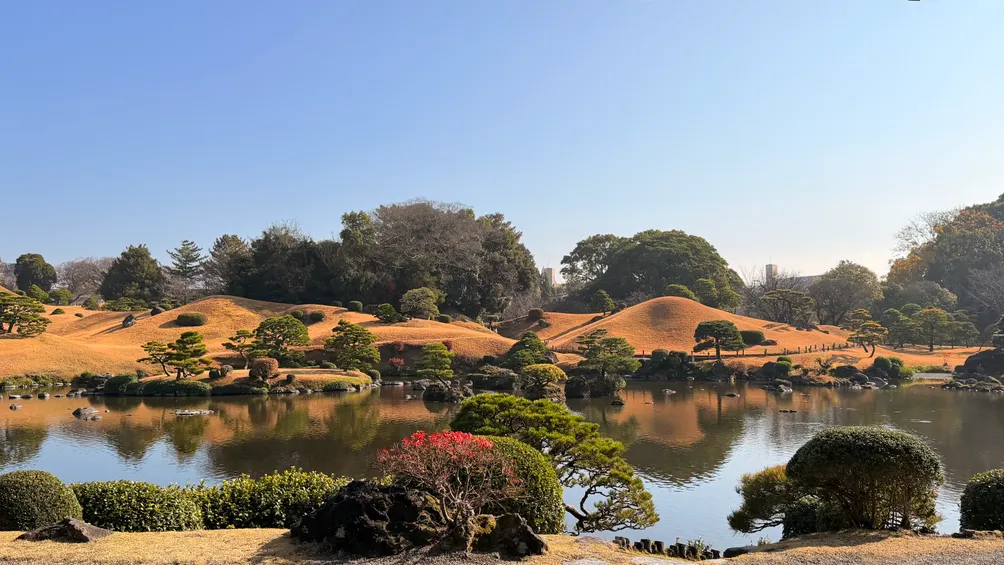 一人看戲也太忙