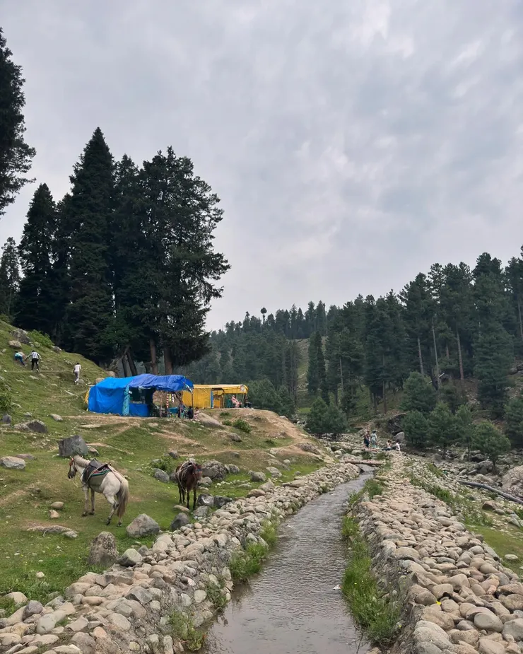 第4個景點,河谷一景