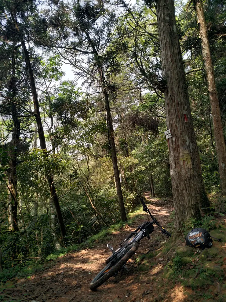 林道的路況挑戰更需要騎手的專注力與耐力