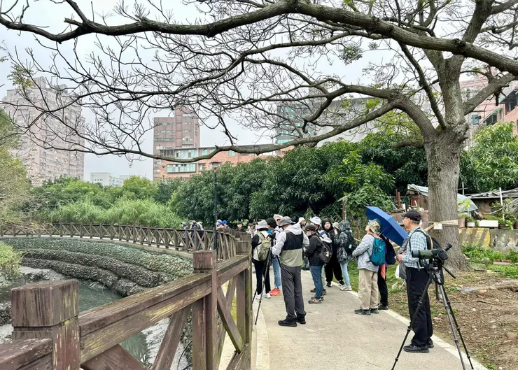圖02 大家一起緩步前行，時而駐足找鳥