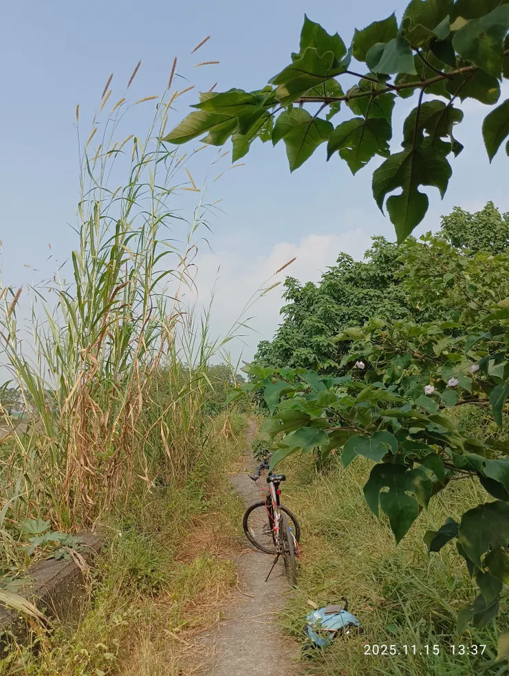 荒郊野遊，自拍攝
