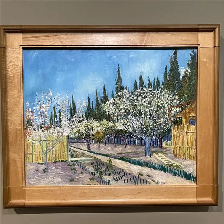 柏樹圍繞的果園