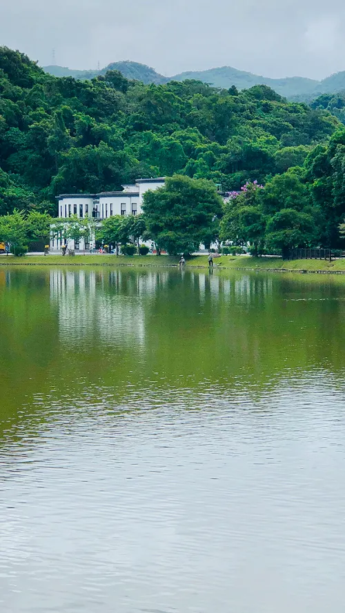 碧湖公園內的管理中心，又稱＂小白宮＂，一樓是閱覽室。