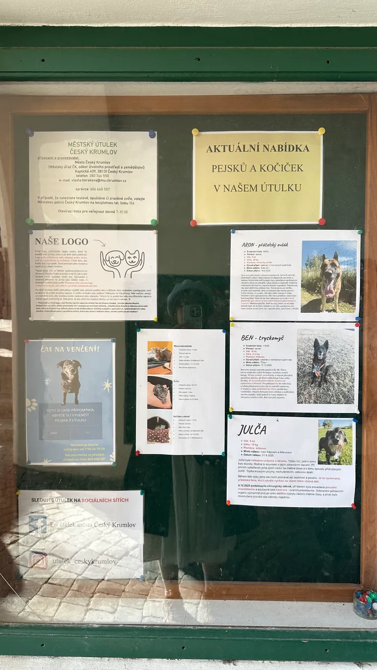 發現當地佈告欄有狗狗貓貓領養傳單