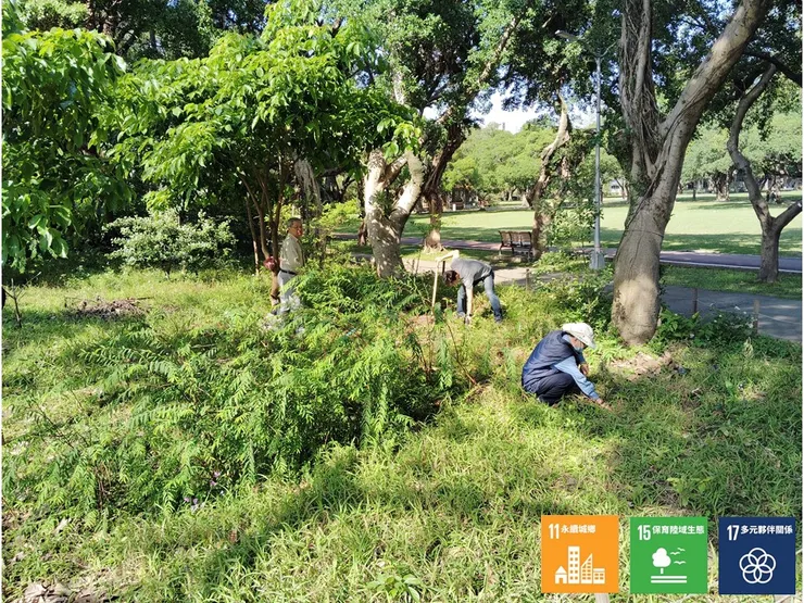 D區是小森林裡日照最充足(全日照)的區域之一，自生及補植了許多陽性先驅植種