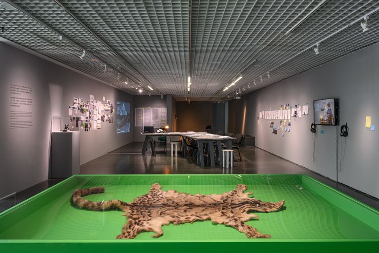 《雲在兩千米》展覽。／影像提供：北師美術館（攝影：王世邦 Anpis Wang）