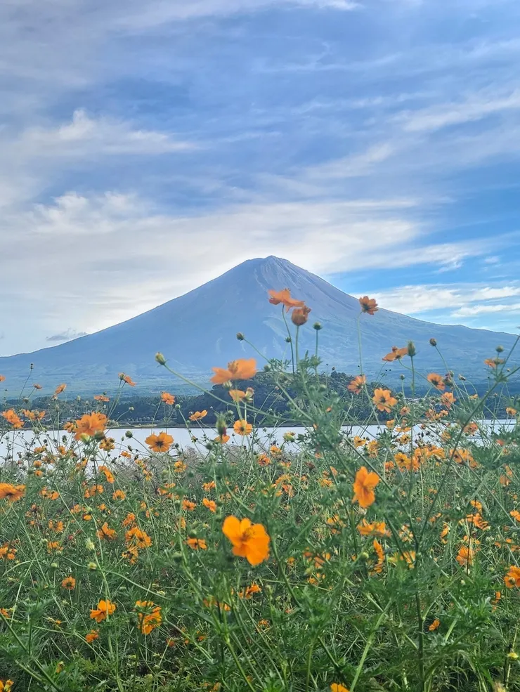 富士山能見度好很多的大石公園
