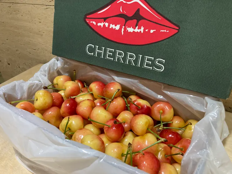 紐西蘭品牌大嘴巴的白櫻桃