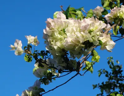 yidai zhongshi ye的沙龍