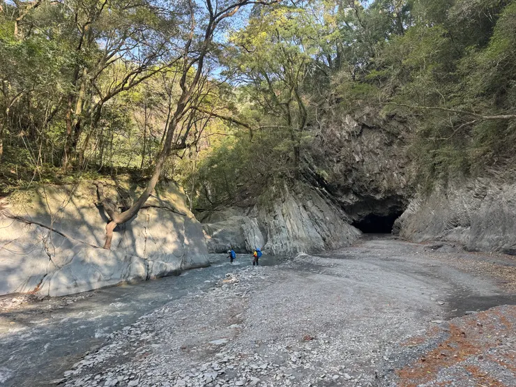 很不「臺灣」的景致！