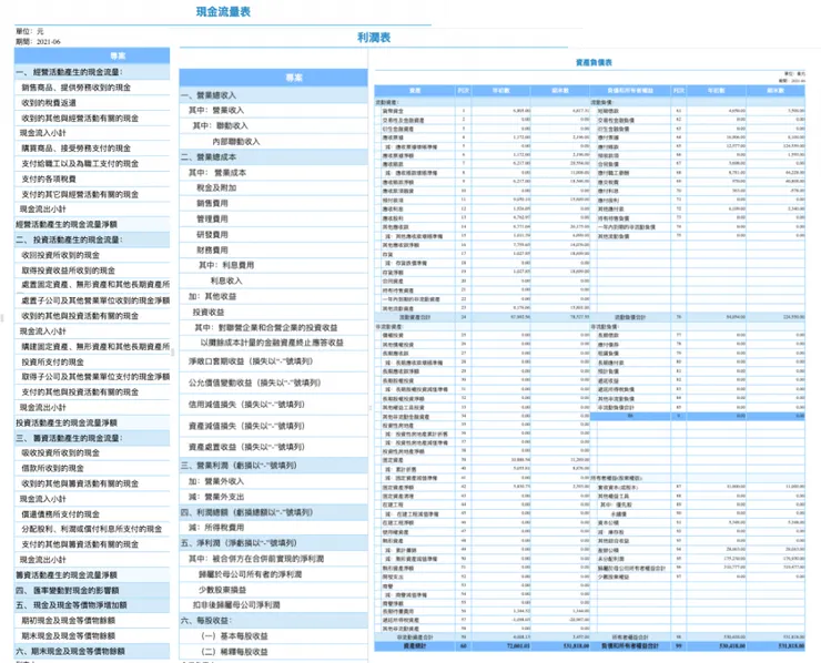 FineReport 製作的財務報表模板