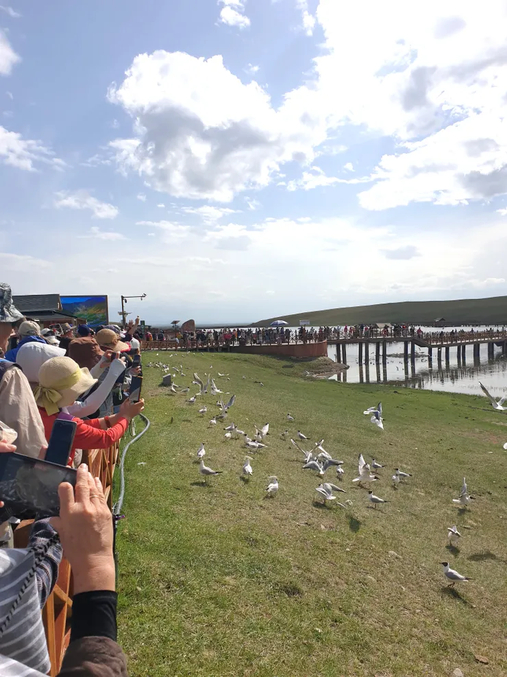 這裡湖泊密布濕地廣闊，是候鳥的重要中轉站與繁殖地，但我們去過貝加爾湖，覺得這裡的鳥群不夠壯觀，也有人說比不上雲南的洱海