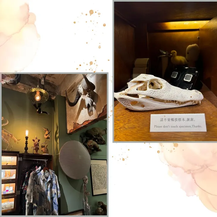 天花板上的展示都讓我目不轉睛