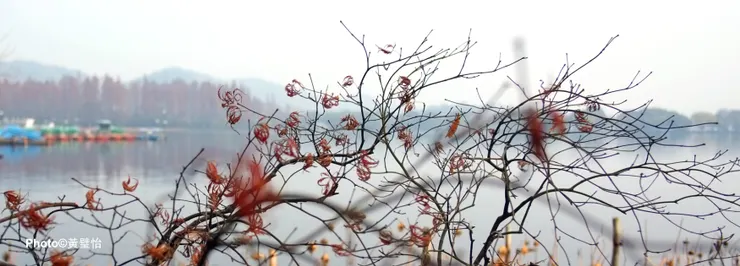 我們坐在郭莊湖邊的甲板上賞湖