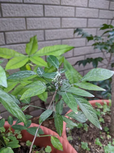 一年一度慎終追遠