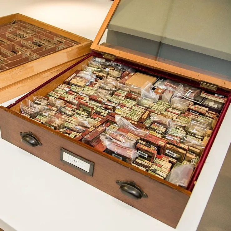 圖片來源：Digitising the NHM