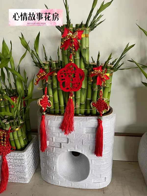 #最多臺南人選擇花店 #心情故事花房 #弔唁蘭花 #臺南喪事蘭花 #臺南殯儀館花店 #台南心情故事花房 #臺南GOOGLE地圖評分最高花店 #喪事蘭花 #喪事花禮 #追思花禮 #告別式用花 #喪禮致意 #追思花籃 #追思蘭花 #台南開運竹 #台南蘭花 #台南開運竹 #台南盆栽 #台南花卉 #高架花籃 #追思高架花籃 #喪用追思 #弔唁高架花籃 #開運竹 #台南開運竹 #創意開運竹