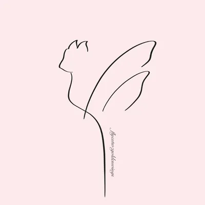 飛天貓心智旅行手記