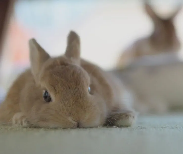 來源：usausausa1201@IG