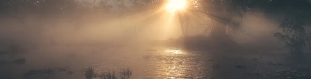 大腦備份與復健筆記